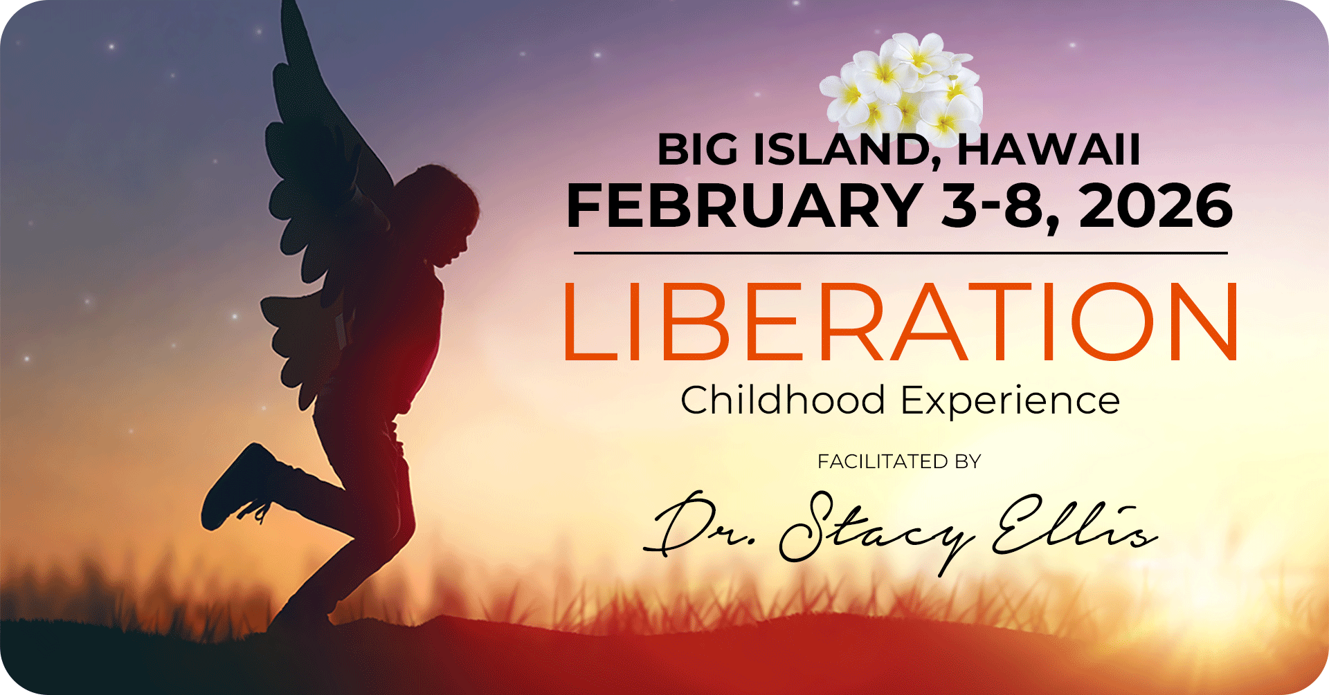 Liberation Workshop - Hawaii 2026